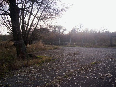 Foto 48